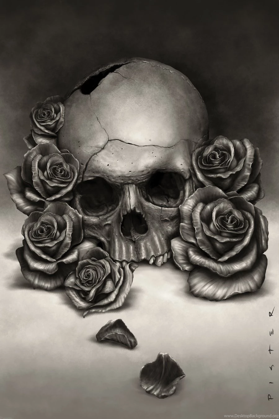 Skull Roses Wallpapers By RodgerPister On DeviantArt