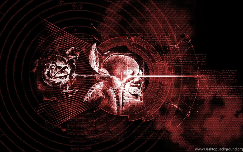 Free Skull And Roses Wallpapers High Definition
