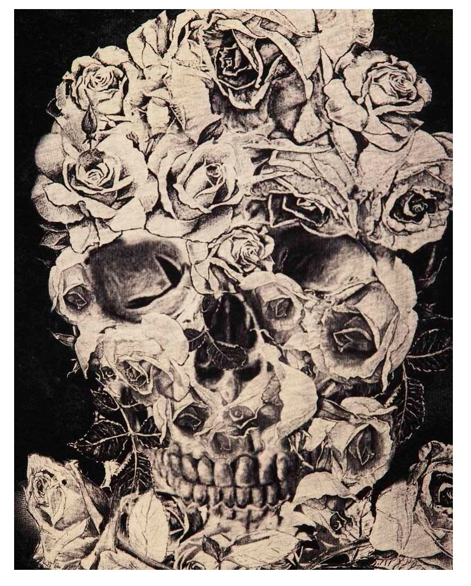 Pictures Of Skulls And Roses   Wallpapers HD Fine