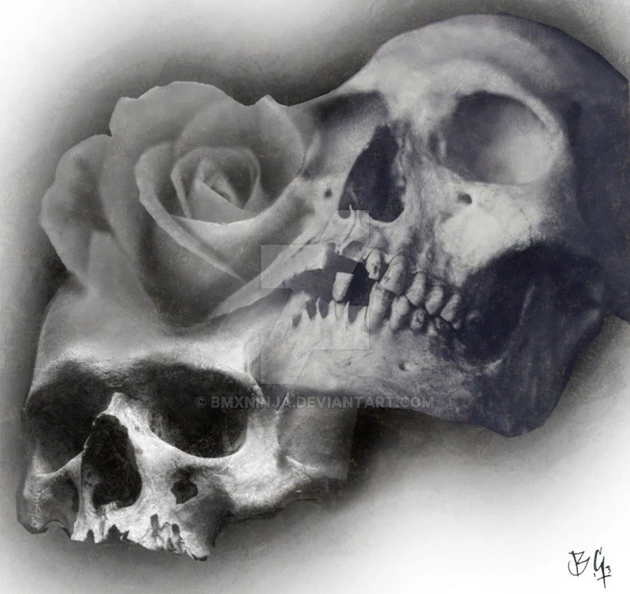 Skull And Roses 2 By RodgerPister On DeviantArt
