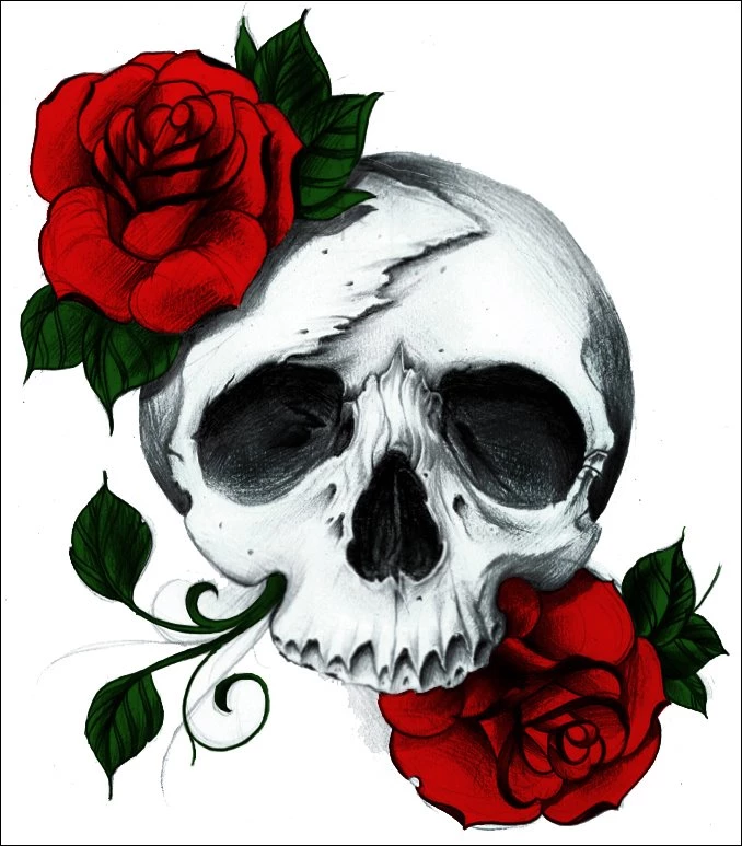 DeviantArt: More Like Skull And Roses By Wolf lover884