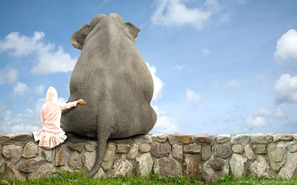 17 Best Friend Wallpapers