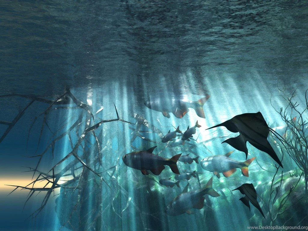 Ocean Underwater Graphic