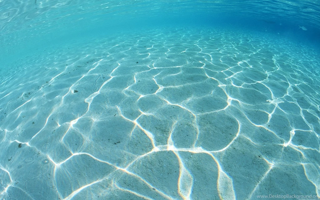 Underwater Images