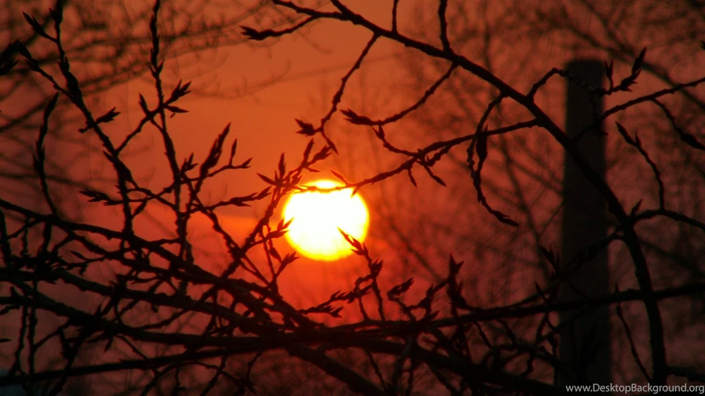 Landscape, Nature, Incredible, Background, Photography (