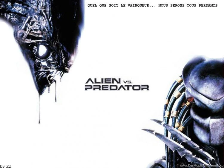 Wallpapers Movies > Wallpapers Alien Vs Predator AVP Wallpapers By ...