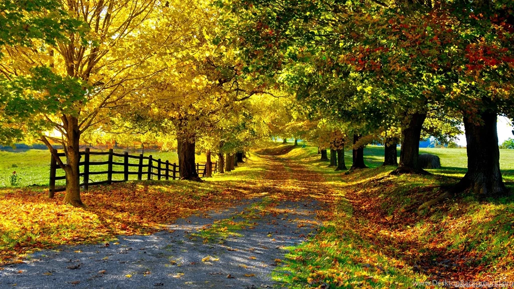 Wallpapers Nature