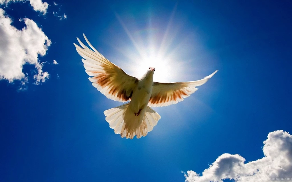 Best Free Download Nature Wallpapers HD