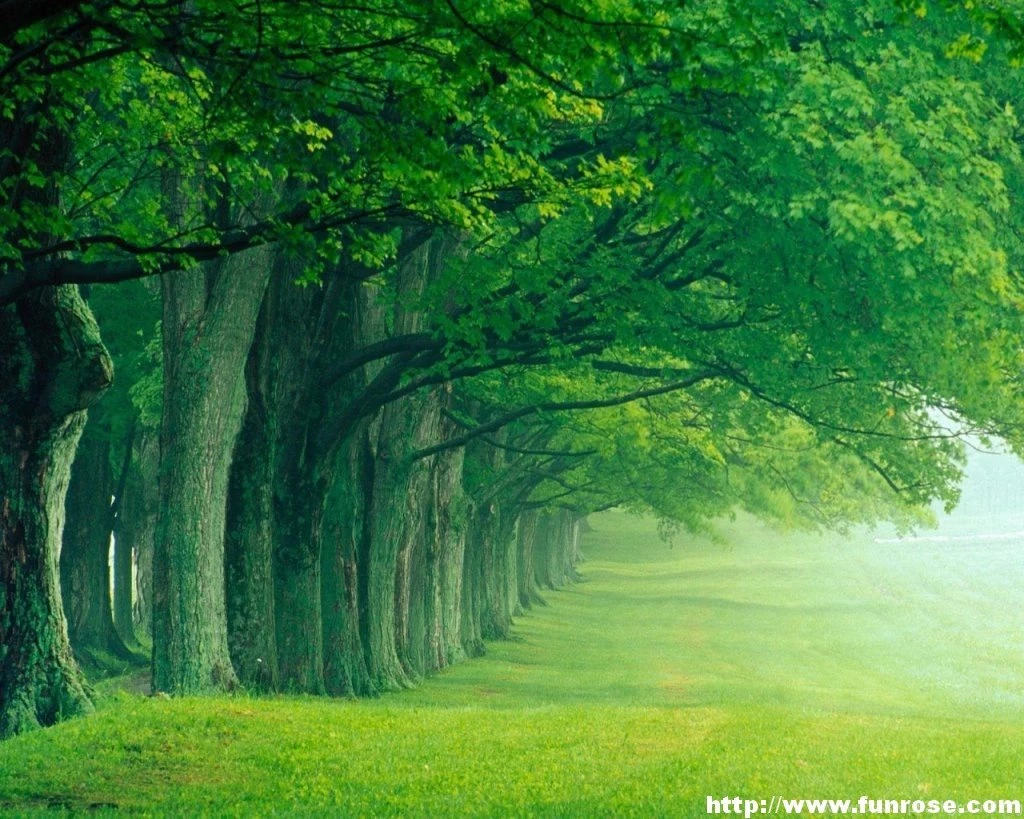 Nature Wallpapers Wehipoda