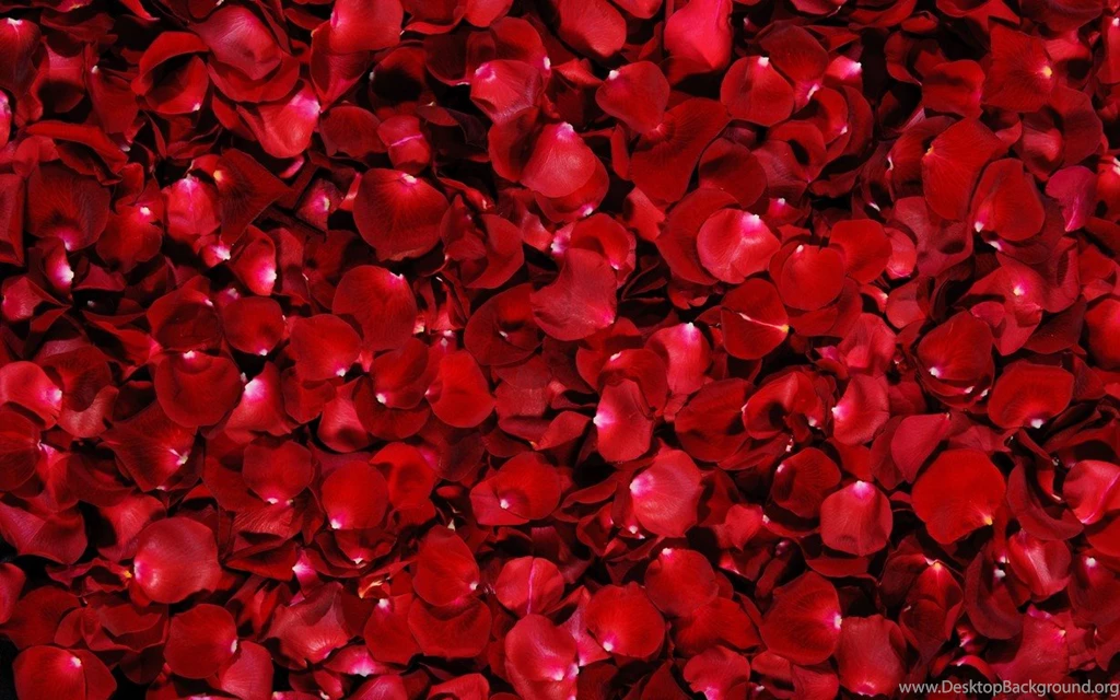 Beautiful Red Wallpapers All Wallpapers New