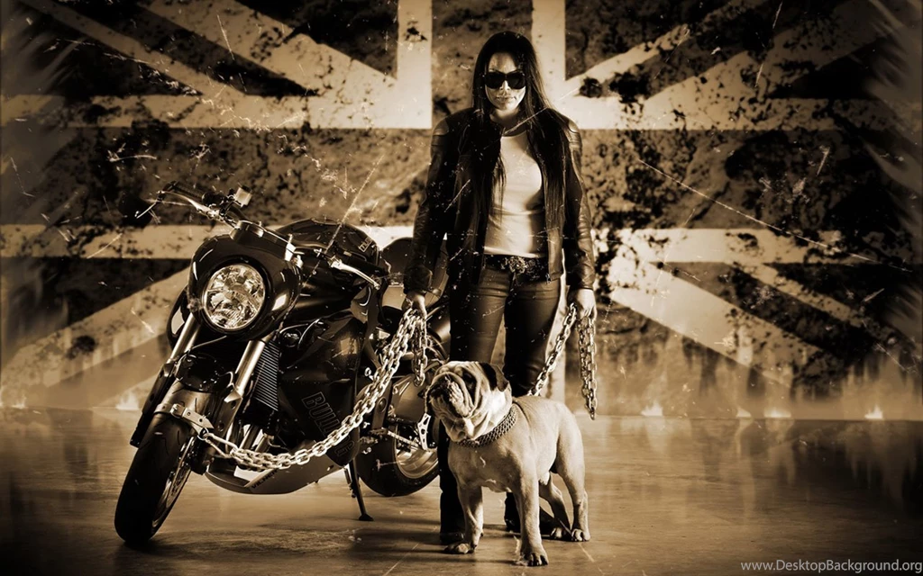 Triumph Speed three Bulldog Custom Edition Motorcycle Wallpapers ...