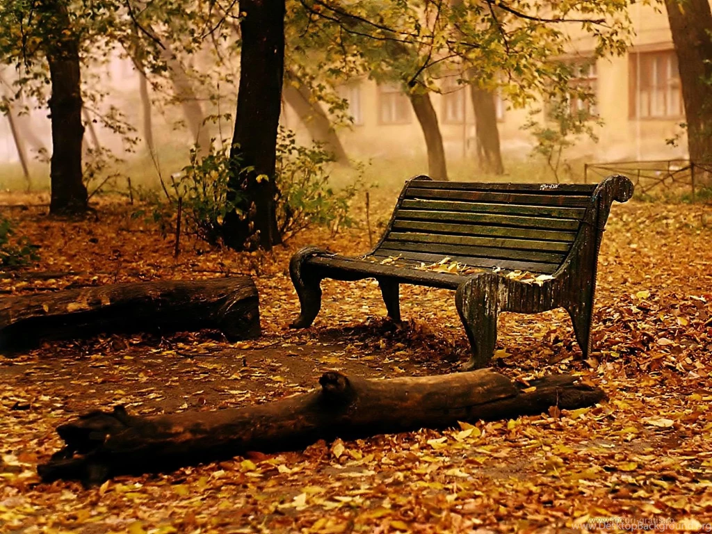 Beautiful Nature Wallpapers Hd