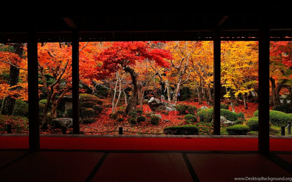 Gorgeous Autumn Enkoji Temple Autumn Wallpapers   1920x1200 ...