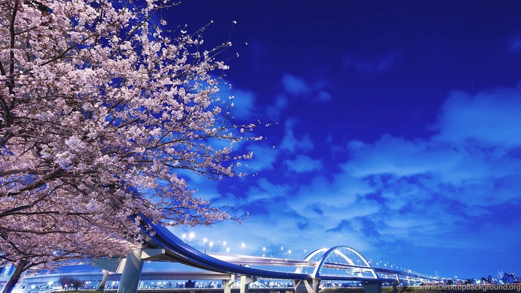 Japan Sakura Hokkaido Wallpapers