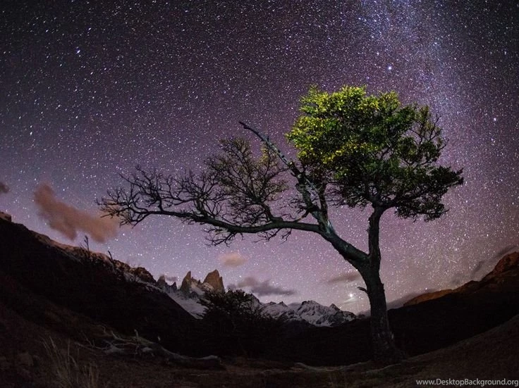 Night Sky Photo    Patagonia Wallpapers    National Geographic ...
