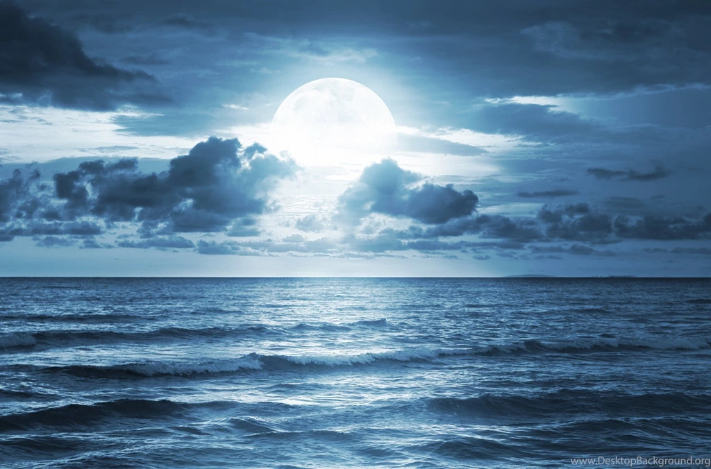 Full Moon Moonlight Sea Ocean Dramatic Scene Beautiful Nature ...
