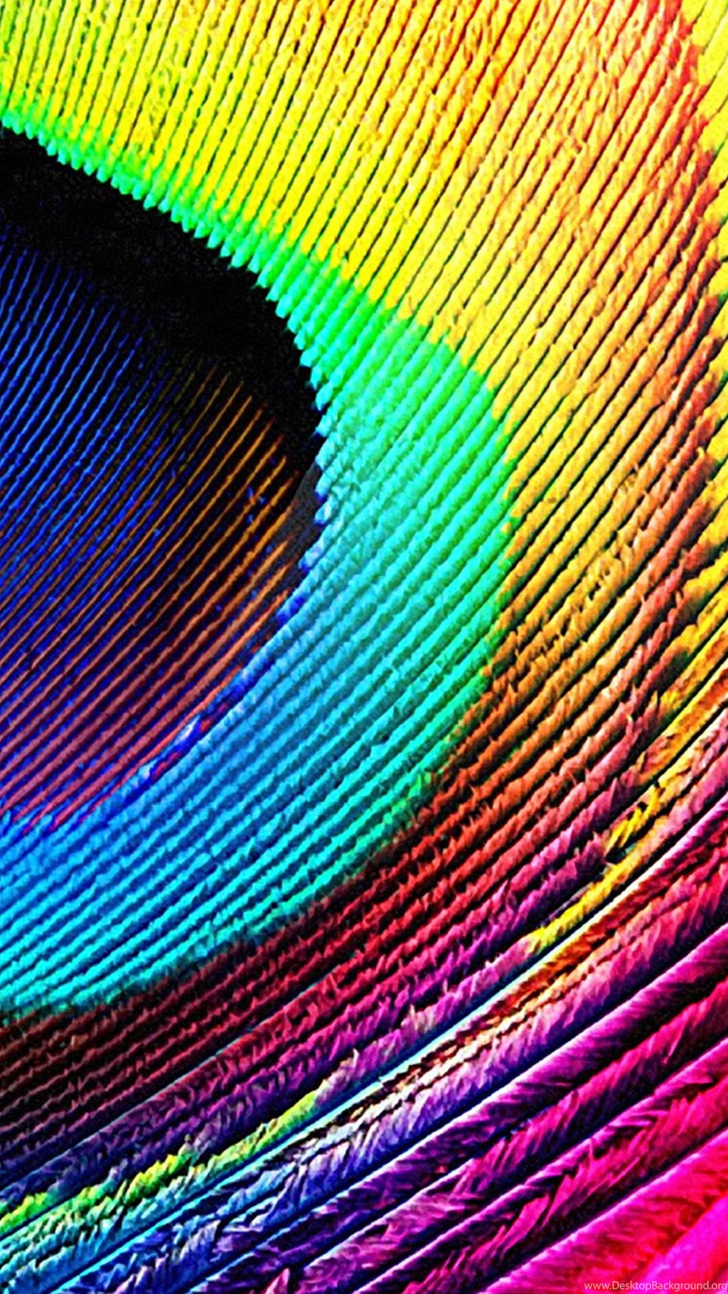 Colorful