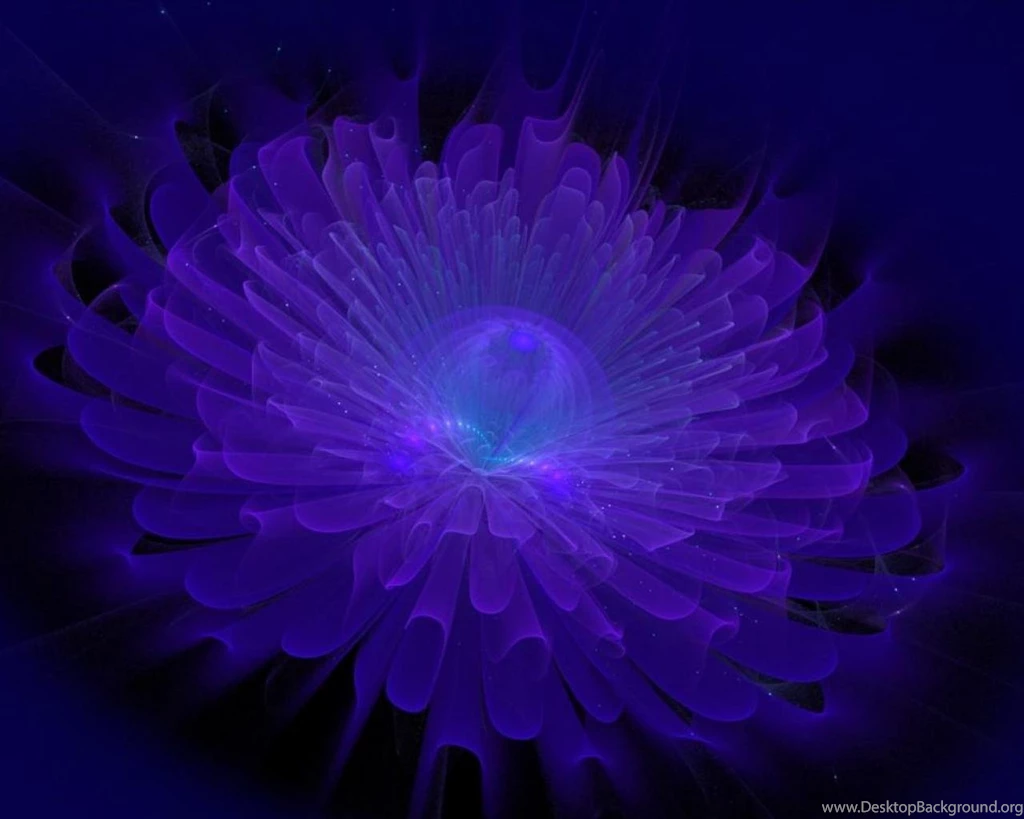 Midnight Blue Flower (