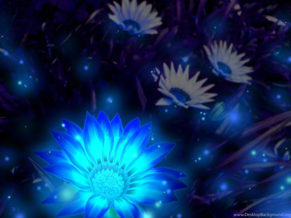 Midnight Blue By Jaego17 On DeviantArt