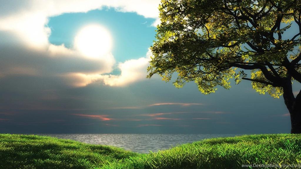 Nature Backgrounds Backgrounds → Nature Gallery