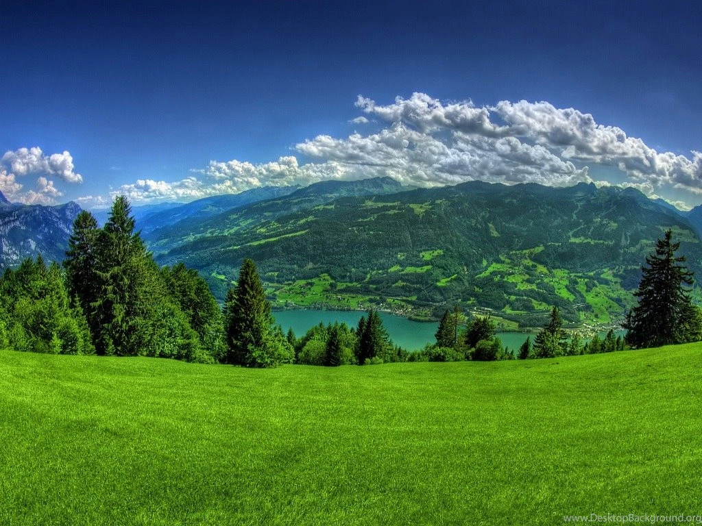 Nature Backgrounds