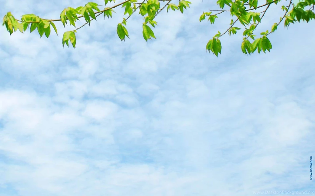 Beautiful Nature PPT Backgrounds (12)