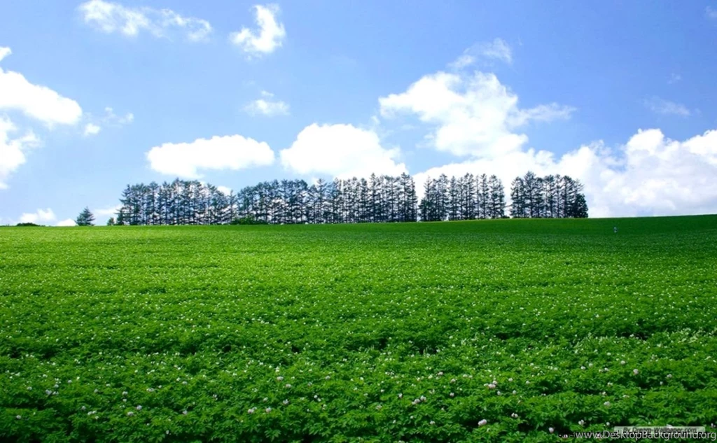 Free Travel Wallpapers Japan Hokkaido Wallpapers