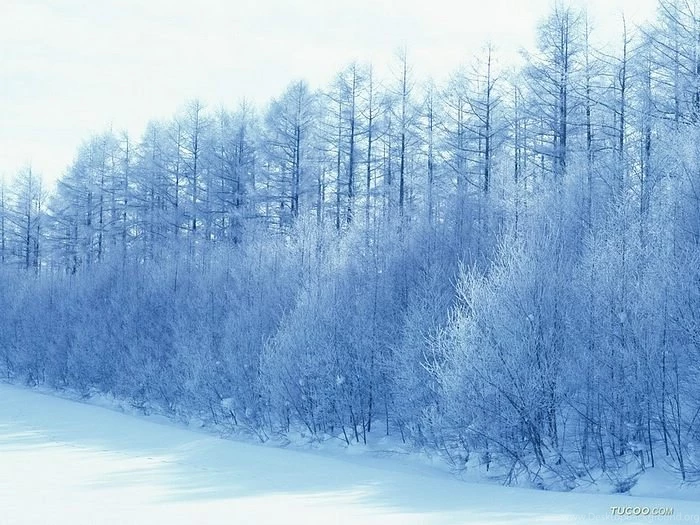 Beautiful Winter In Japan Hokkaido, 180 Wallpapers Wallcoo.net