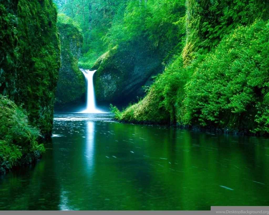 Nature background widescreen pictures