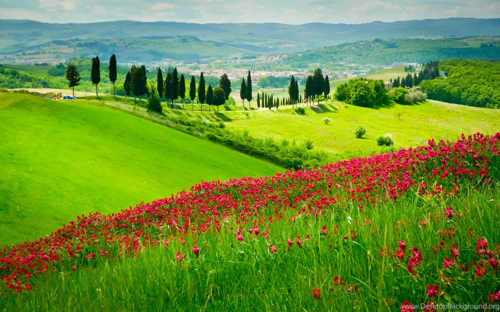 Tuscan Hills Wallpapers