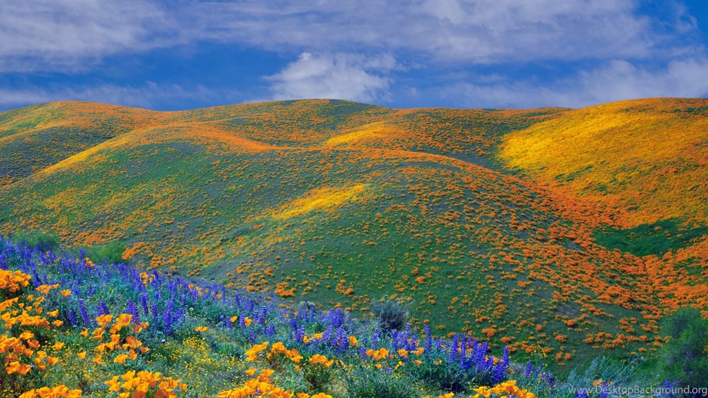 Free Hills Wallpapers