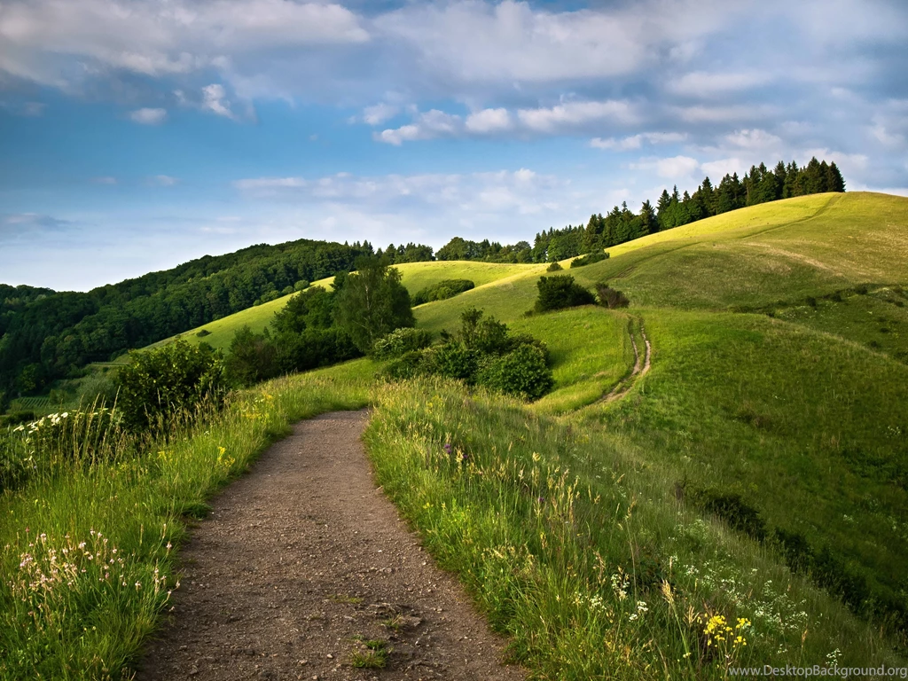 Road Wallpapers
