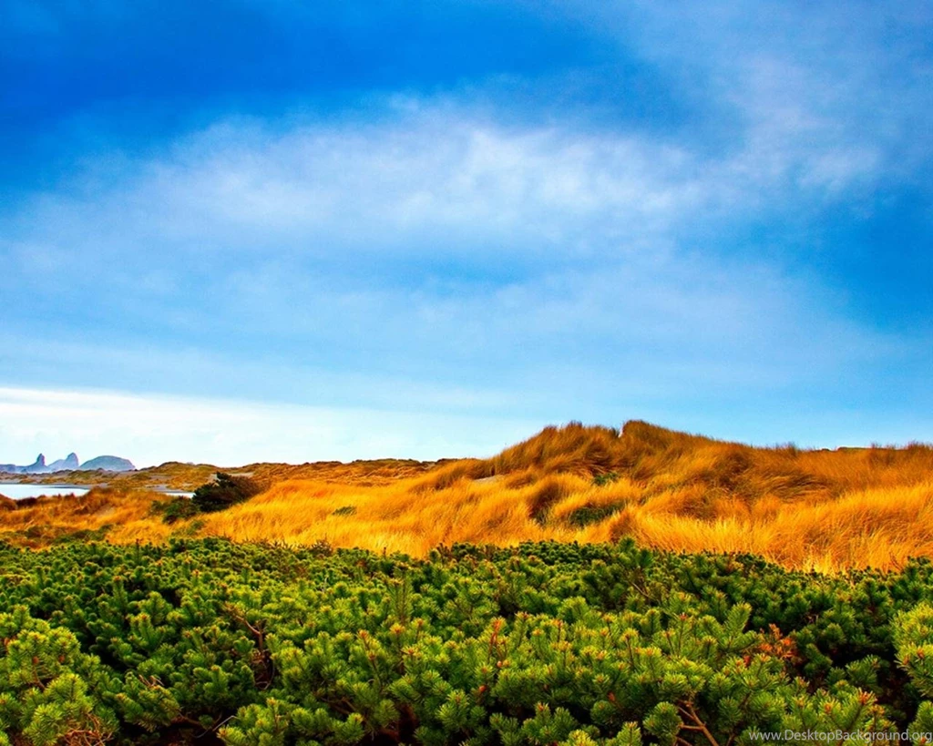 High Definition Nature Photography Wallpapers 1280x1024 Laptop ...