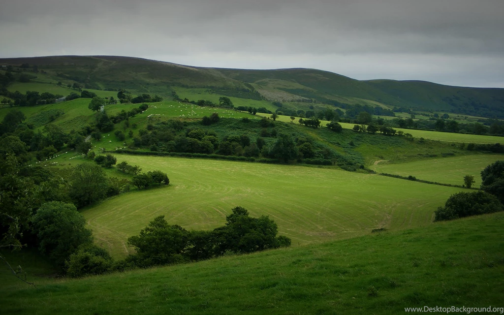 Green, Landscapes, Nature, Fields, Hills :: Wallpapers