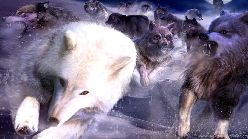 Wolf Computer Wallpapers, Desktop Backgrounds