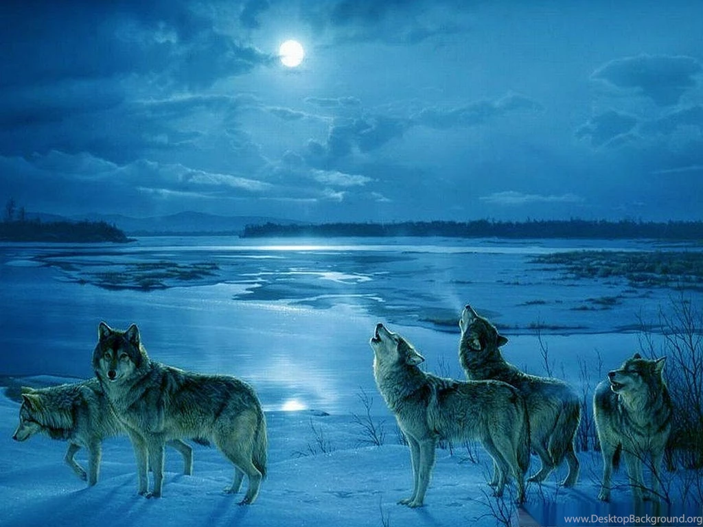 Wolf Computer Wallpapers, Desktop Backgrounds