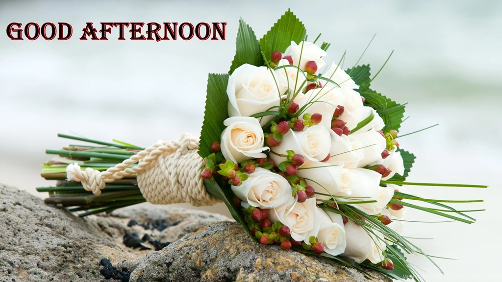 Good Afternoon White Roses Flower Bunch HD Wallpapers Desktop Background Classy Good Afternoon Pic Download Good Afternoon White Roses Flower Bunch HD Wallpapers Desktop Background Classy Good Afternoon Pic Download