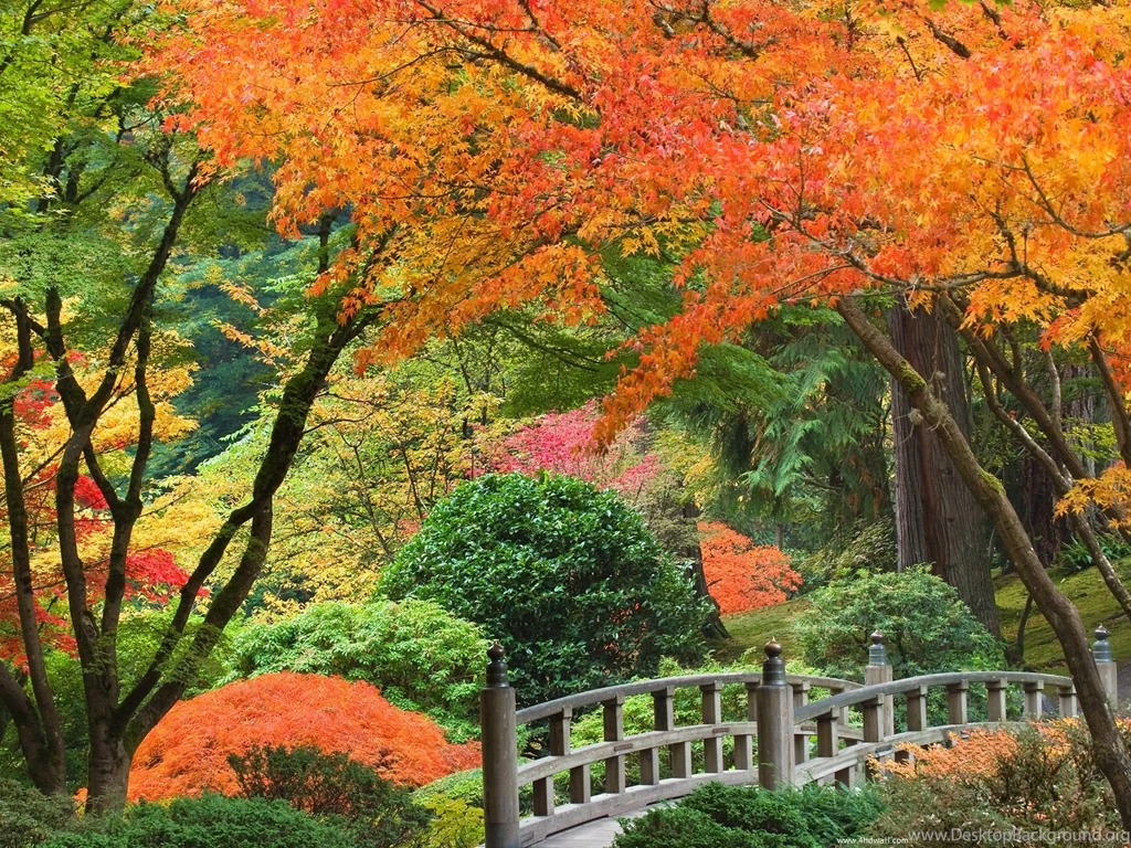 Fall Season Desktop