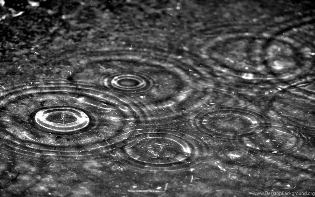 Rain, Raindrops, Weather, Background, Wallpapers (