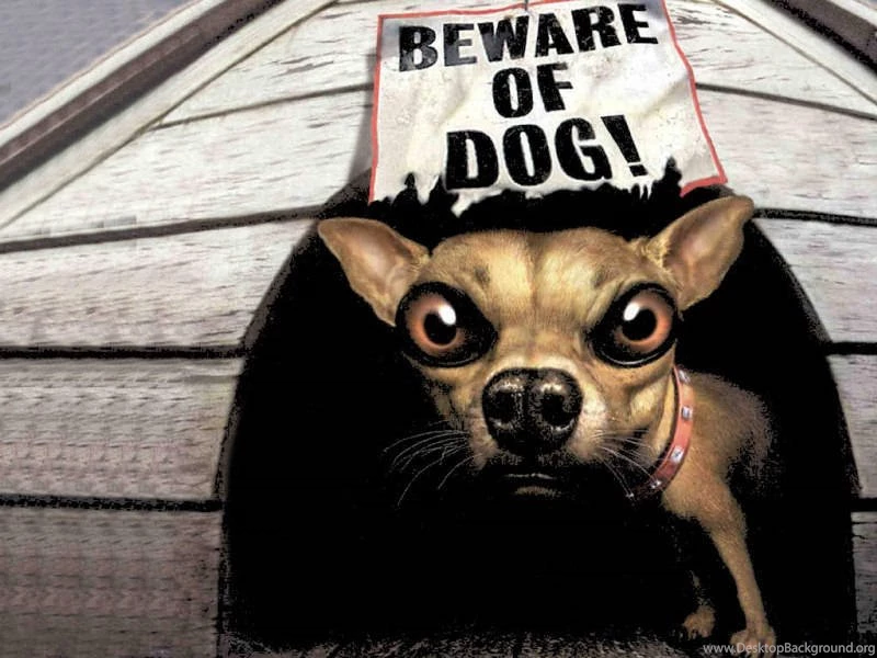 Funny Beware Of Dog Signs 23 Wide Wallpapers   Funnypicture.org
