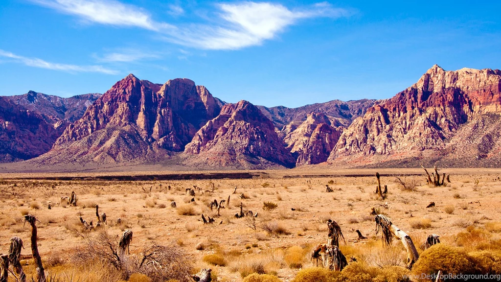 Thematic Desert Backgrounds
