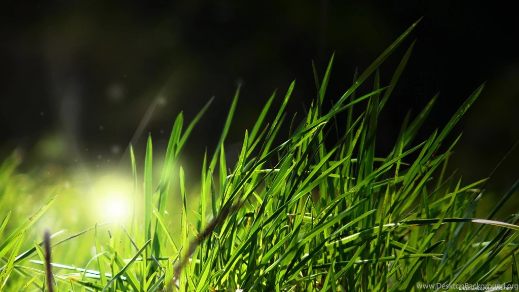 High Resolution Nature Backgrounds Full Size   SiWallpaperHD 10609