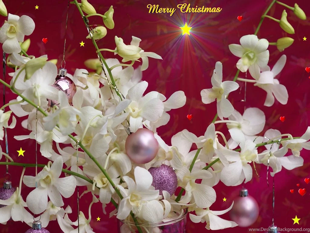 25+ Free Christmas Wallpapers