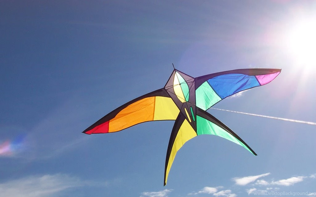 Makar Sankranti 2015 Huge Kite Hd Wallpapers