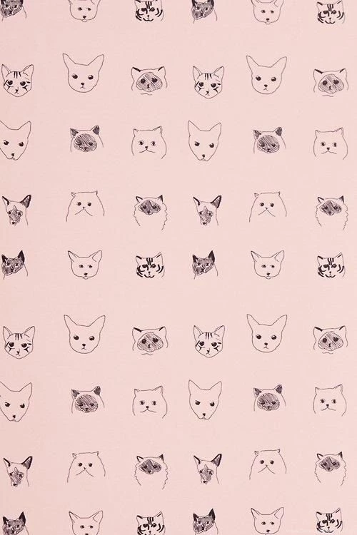 Download Cat Kitten Desktop Wallpapers And HQ Cat Backgrounds ...