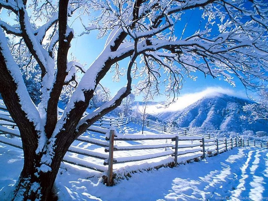 Arolew: Winter Wallpaper Backgrounds, Winter Wallpapers