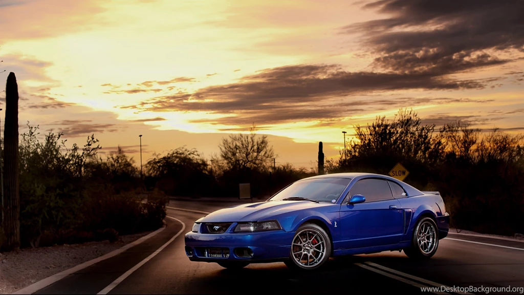 Terminator, Cars, Cobra, Ford, Vehicles, Ford Mustang, Ford ...