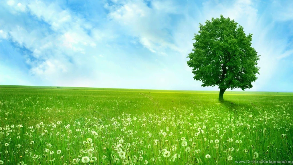 Grass Field And Tree Wallpapers Free Download