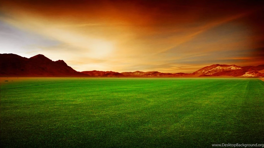 Wallpapers Grass Field Pictures Images Photos 1366x768