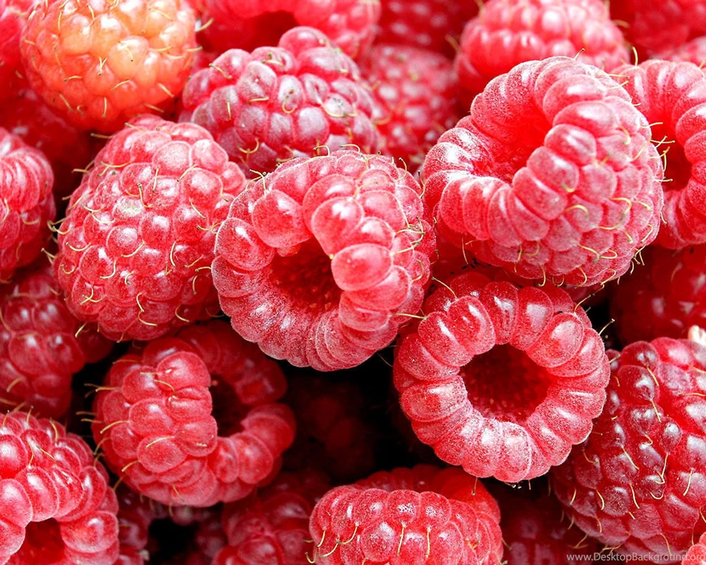 Food Wallpapers
